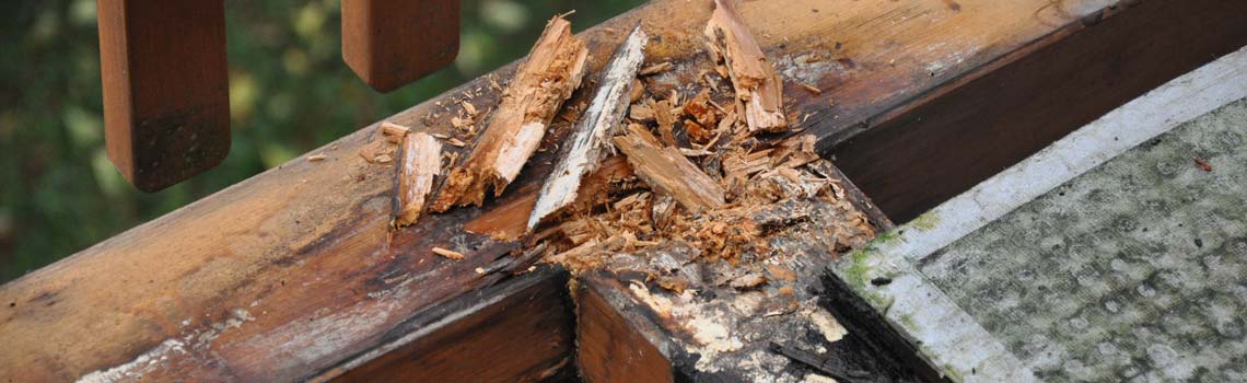 Total weiche und morsche Balken